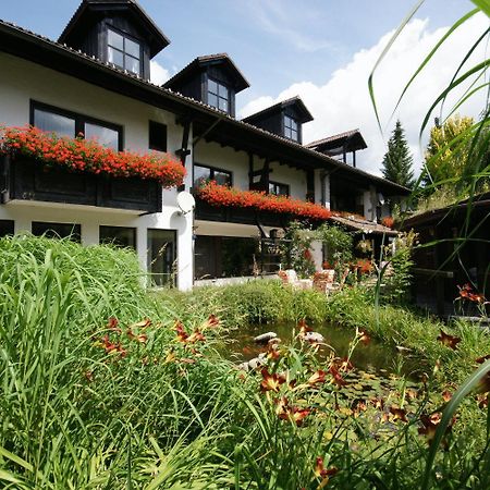 Pension Sonneneck Zwiesel Esterno foto